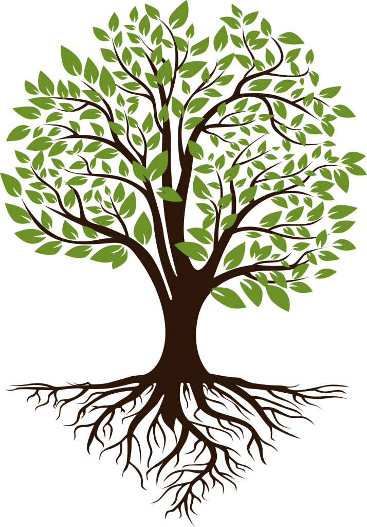 The Orkney Partnership of Violence Against Women and Girls logo